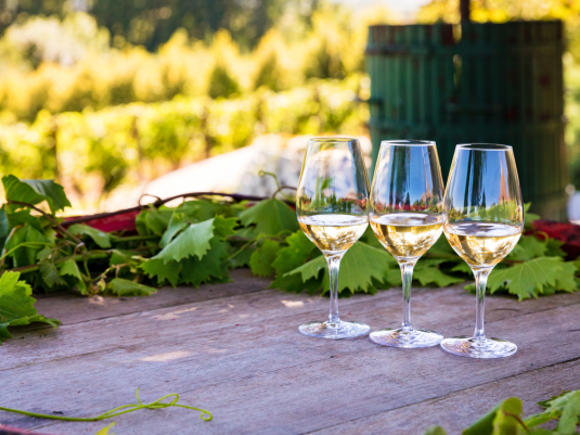 Winna Wiosna w Bieszczadach