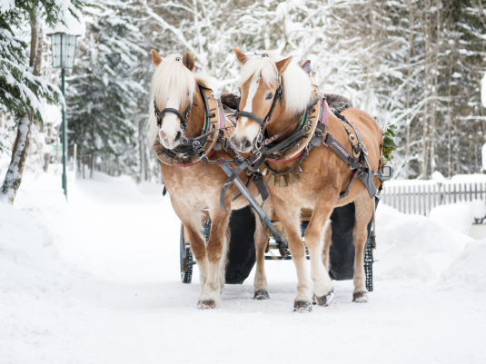 Karnawał na Podhalu