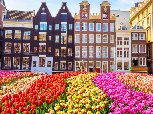Festiwal Tulipanów + Amsterdam + Lejda